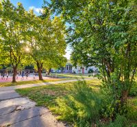 A park with greenery and a walkway next to the sports field on Za hradbami Street in Pezinok.