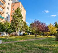 A panel house surrounded by greenery on Za hradbami Street, Pezinok, suitable for a 3-room apartment.