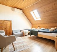 Attic room with a bed, chair, skylight, and wooden decor flooring.