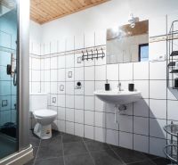 Bathroom with toilet and shower, hotels and guesthouses, tiles with decorative pattern.