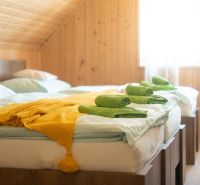 A room with two beds, a yellow blanket, and wooden paneling in hotels and guesthouses.