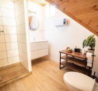Bathroom with wood-patterned flooring, shower, and sink. Hotels and guesthouses.