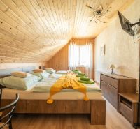A room with wooden paneling, a double bed, a TV, and a floor with a wooden decor. Hotels and guesthouses.