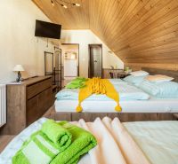 Room in a hotel and guesthouse with wooden decor flooring and comfortable beds.