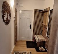 The entrance hall in a 3-room apartment with a wooden decor floor and a carpet with flowers.