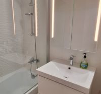 A bathroom in a 3-room apartment with a bathtub, a mirrored cabinet, and a floor with a wooden decor.