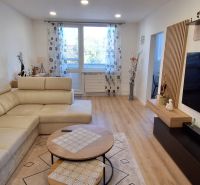 A comfortable living room in a 3-room apartment with a wooden decor floor.