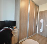 A workspace with a desk, two monitors, a wardrobe, and a wooden-patterned floor.