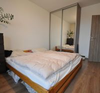 A bedroom with a bed, a wardrobe with a mirror, and a floor with a wooden decor in a 3-room apartment.