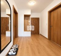 A bright hallway with wood-patterned flooring and a large mirror in a 2-room apartment.