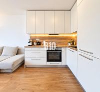 A kitchen in a 2-room apartment with a wood-patterned floor and white cabinets.