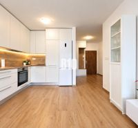 A kitchen in a 2-room apartment with a white kitchen unit and a floor with a wood decor.