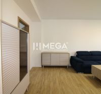 Living room with wood-patterned flooring, blue sofa, and furniture in a two-room apartment.
