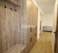 A hallway with a built-in wardrobe and a wooden decor floor in a 2-room apartment.