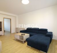 Living room in a 2-room apartment with a sofa, furniture, and a floor with a wood decor.
