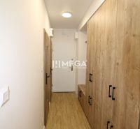 A hallway with a wooden decor floor and built-in wardrobes in a 2-room apartment.