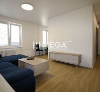 Living room with a sofa, coffee table, and wood-patterned flooring in a 2-room apartment.