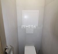 A toilet in a 2-room apartment with a wood-patterned floor and light-colored walls.
