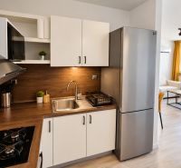 A kitchen with a wooden decor floor and stainless steel appliances in a 2-room apartment.