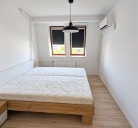 Bedroom with a bed, air conditioning, and wood-patterned flooring in a two-room apartment.