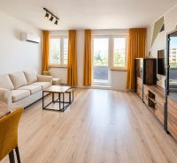 Living room with a sofa and wood-patterned flooring in a two-room apartment.