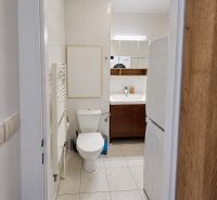 A bathroom with a sink, toilet, and washing machine in a 2-room apartment.