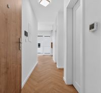 A hallway in a 3-room apartment with doors and flooring featuring a wooden design.