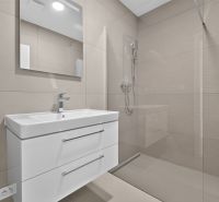 A bathroom in a 3-room apartment with a sink, mirror, and shower.
