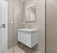 Bathroom in a 3-room apartment with a sink, mirror, and shower.
