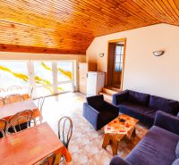 Living room in a family house with sofas, tables, chairs, and a sloped ceiling.