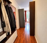 A hallway in a one-room apartment with a wooden decor floor and a wardrobe.