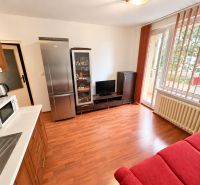 Living area of a studio apartment with a wooden decor floor and access to a balcony.