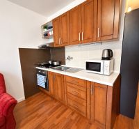 A kitchen in a studio apartment with a wooden decor floor and appliances.