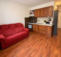 A kitchen in a studio apartment with a red sofa and a wooden decor floor.