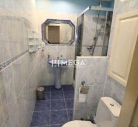 Bathroom in a 3-room apartment with blue tiles, a shower, and a mirror.
