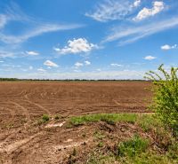 Commercial land in Petržalka offers a view of wide fields and a blue sky.