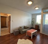 Living room in a two-room apartment with a wooden decor floor and a sofa.