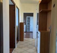 A hallway in a 2-room apartment with a wood-patterned floor and cabinets.