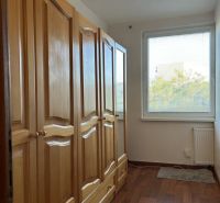 A hallway with a built-in wardrobe in a 2-room apartment and a floor with a wooden decor.