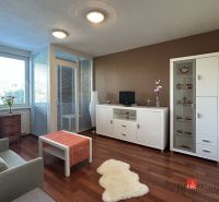 Living room with wood-patterned flooring, white furniture, and glazing in a two-room apartment.