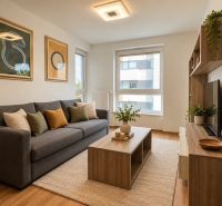 Living room in a 2-room apartment with a gray sofa, wood-patterned flooring, and decorations.