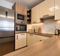 A kitchen in a 2-room apartment with a stainless steel countertop and appliances, and a floor with a wood decor.