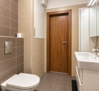 Bathroom in a 2-room apartment with tiles and a wall-mounted toilet.