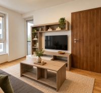 Living room in a 2-room apartment with a wooden decor floor, furniture, and a television.