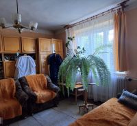 Living room with sofas, curtains, and a plant in a family house.