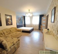 Interior of a family house with a sofa, bed, and wooden decor flooring.