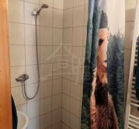 A shower corner in a cabin with an original curtain depicting a bear.