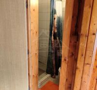 Bathroom in a cabin with a wooden door frame and an orange rug.