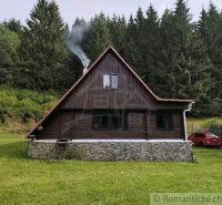 A cottage in Rajecká Lesná surrounded by forest with a car on a grassy area.