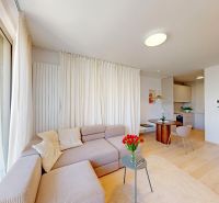 Living room in a 2-room apartment with a sofa and a wooden decor floor.